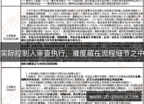 实际控制人审查执行,难度藏在流程细节之中 实际控制人审查执行,难度藏在流程细节之中
